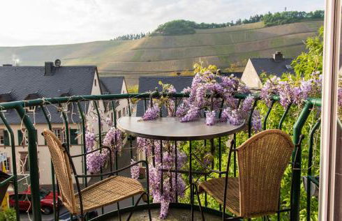 Ferienresidenz Brauneberger Hof an der Mosel nahe Bernkastel-Kues - Foto 27