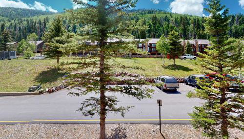 Brown Bear Lodge #322 - Foto 3