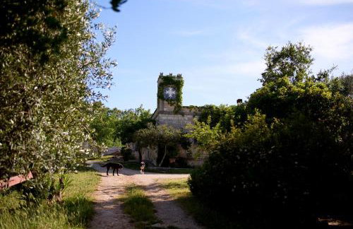 Agriturismo Teatro del grano - Foto 16