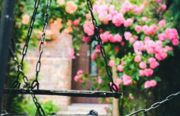 Chata na końcu świata - Foto 21