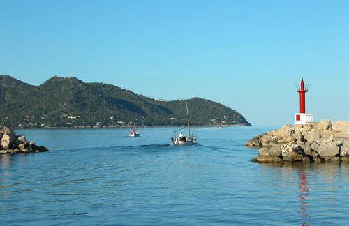 SA MANIGA 6-H - Foto 21