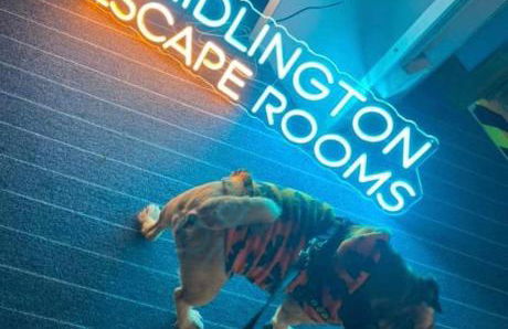 Jans chalet south shore Bridlington - Foto 39