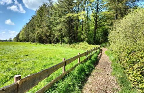 Ferienwohnung Nordbrock, 65317 - Foto 9