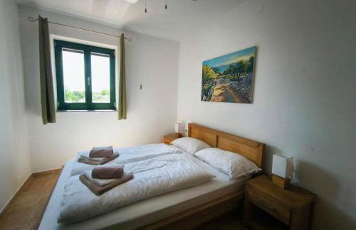 Villa Mikulica - Photo 21