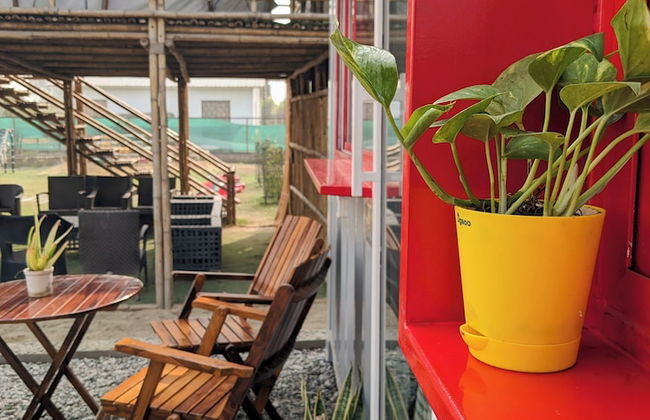 Tuk Tuk Gilhari Noida - Foto 15