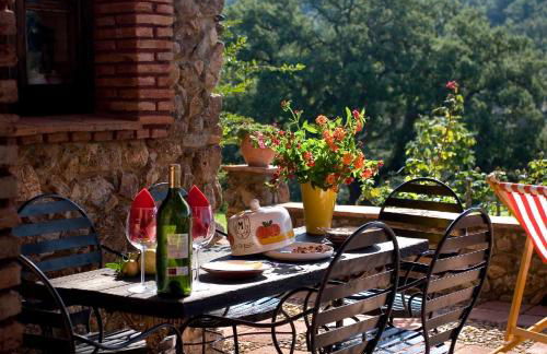 Molino Rio Alajar - Foto 59