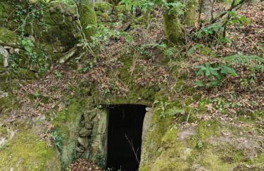 Casa Maria da Eira - Foto 49