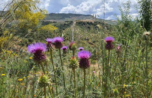 Casa Alta Holiday Home - Foto 33