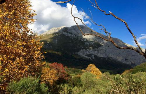 Casas Rurales Prieto - Foto 6