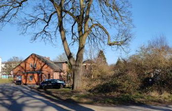 zentrumsnahes Wohnen in der Alten Schule am See - Foto 12