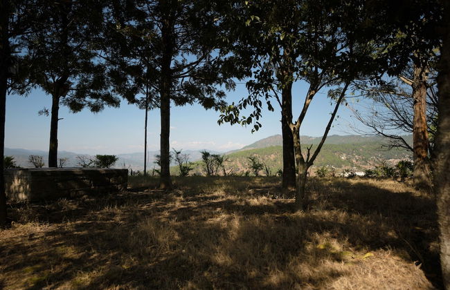 BluSalzz Homes - The Himalayan Bungalow, Almora - Uttarakhand - Foto 31