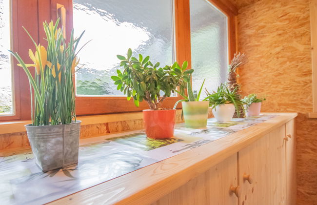 Anette Living - Foto 11