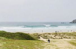 Dernier Ecolodge avant NewYork - Foto 25