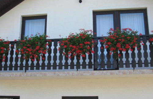 Apartments Dale - Foto 14