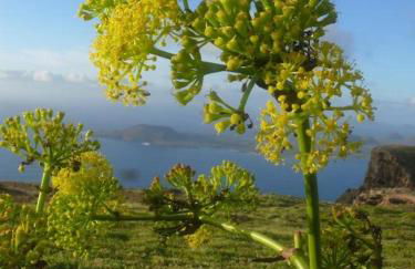 CASA DIANA - Foto 43