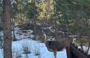 Misty Mountain Colorado - Foto 30