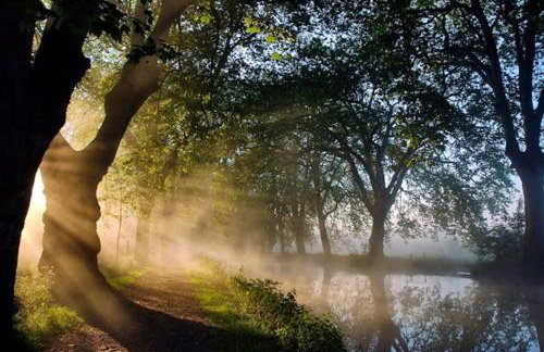 Appartement familial à Blaignac avec Piscine 100m² 8 personnes - Foto 22