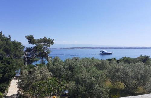 Apartment Brane - Photo 8