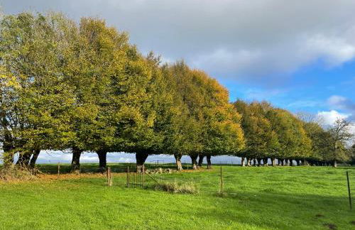 La Grisolle de 4 à 14 personnes - Foto 41