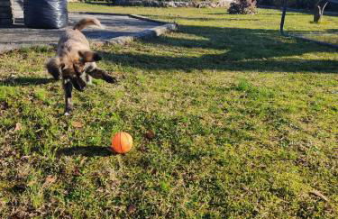 Villa Azzurrina - Foto 2