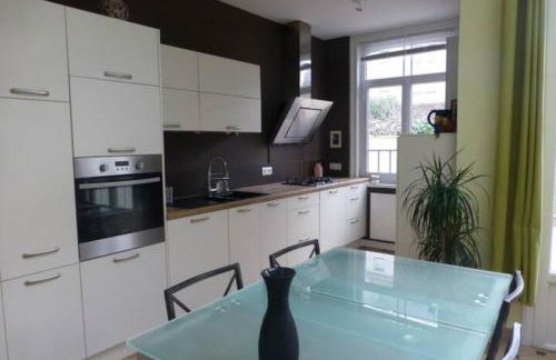 Maison confortable et jardin à Lille - Foto 2