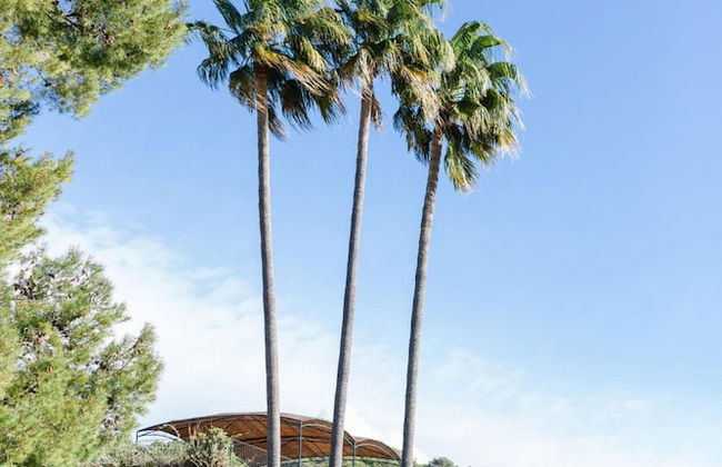 Finca Es Cabas - Photo 54