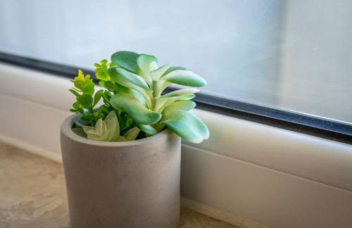 Torralta 204 - Foto 15