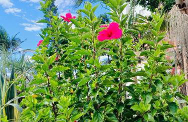 Recanto Beira Mar - Foto 16