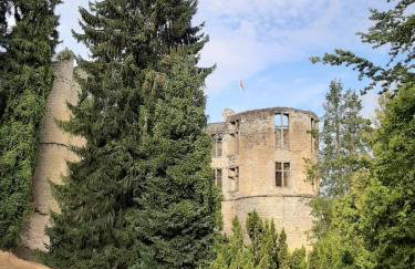 Ferienhaus Chalet Cottage Ourtalblick 2km von Vianden-Lux - Foto 8