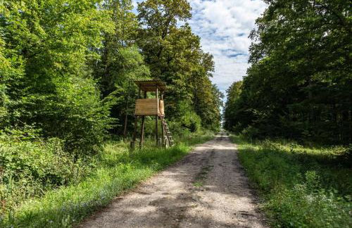 Pool House Klara With Sauna - Happy Rentals - Foto 68