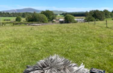 Corehouse Farm Cottages - Dairy, Granary & Sawmill - Photo 28