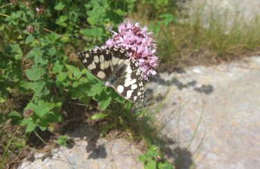 Gästehaus am Main - Foto 29