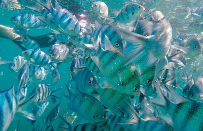 Kood Life - Photo 46