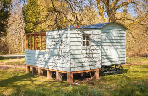 Bamff Ecotourism - Photo 119