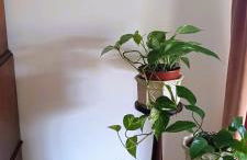 Moradia entre o Mar e a Ria - Foto 24