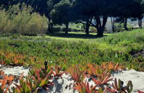 Location appartement les pieds dans l'eau, Résidence Aqua Linda à Poggio-Mezzana - Foto 42