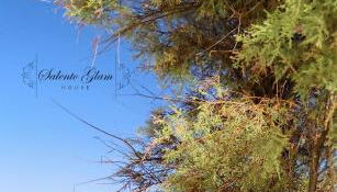 SALENTO GLAM HOUSE - Foto 3