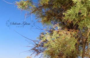 SALENTO GLAM HOUSE - Foto 3