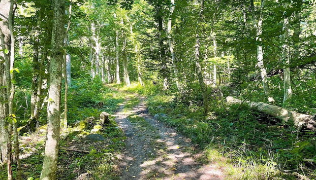 6 Person Holiday Home in Borgholm - Photo 2, Miscellaneous