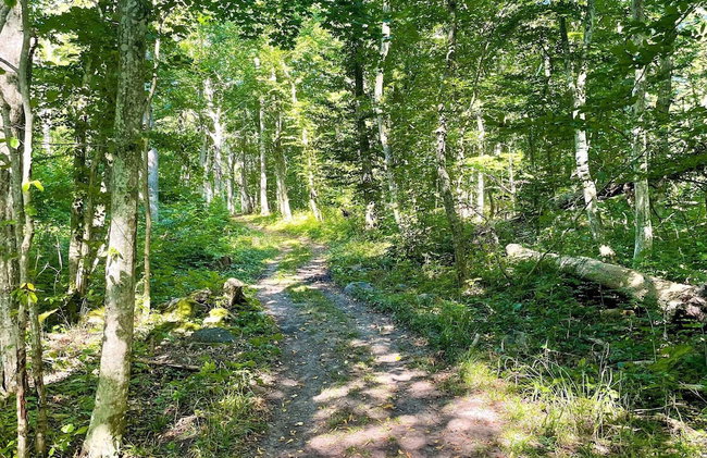 6 Person Holiday Home in Borgholm - Foto 2