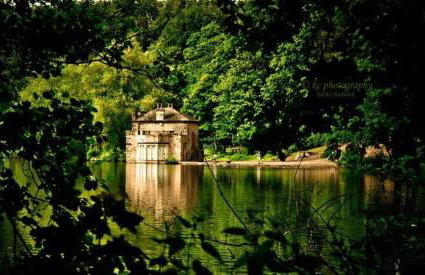 The Dotterry - Foto 31