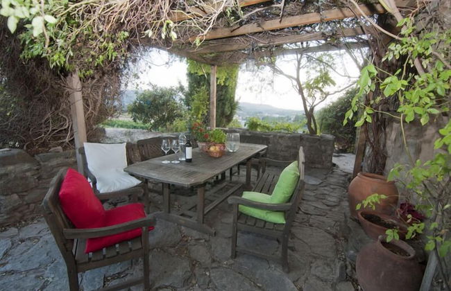 Celler Colltor - Photo 8