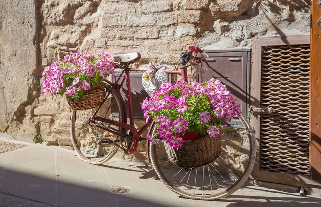 Thyme apt With Shared Pool - Foto 26