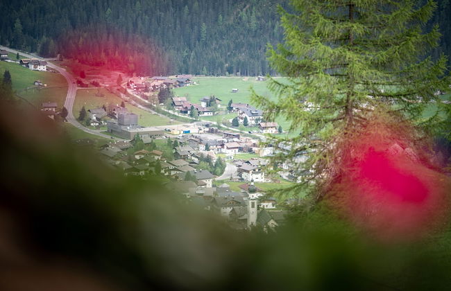 Appartmenthaus Gutwenger Selmerhof - Foto 55