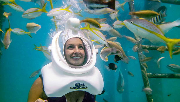 De Palm Island + Sea Trek - Foto 2