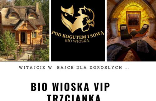 Pod Kogutem i Sową - Bio Wioska z domkami Premium w góralskim stylu VIP - Foto 22
