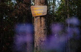 A Frame Hot Tub Couple's Getaway - Foto 10