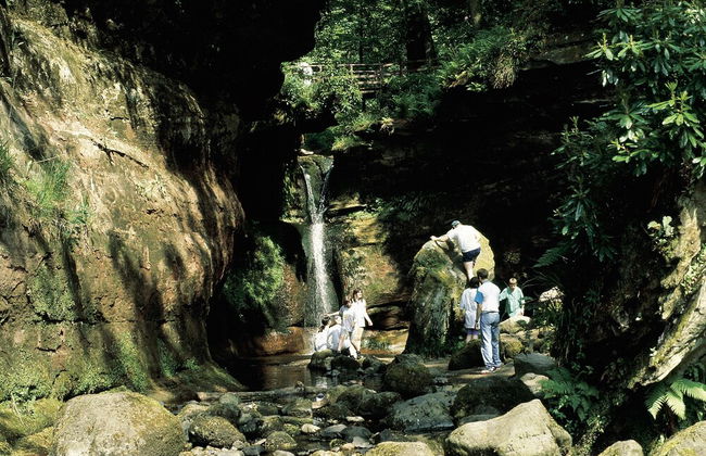 Charming Yurt in Kelburn Estate Near Largs - Foto 7