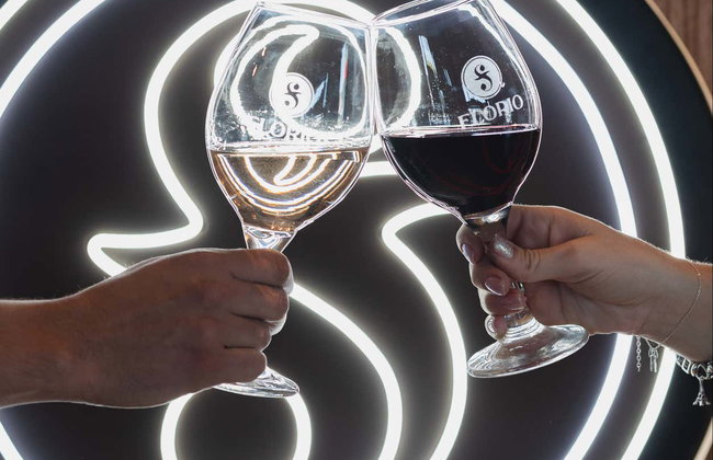 Mendoza Wine Tasting Experience - Photo 7