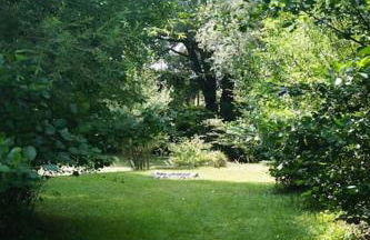 Idylisches Cottage mit Reh - Foto 30